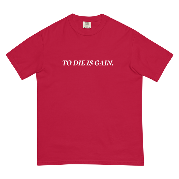 TDG - Heavyweight t-shirt