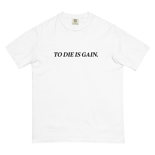 TDG - Heavyweight t-shirt